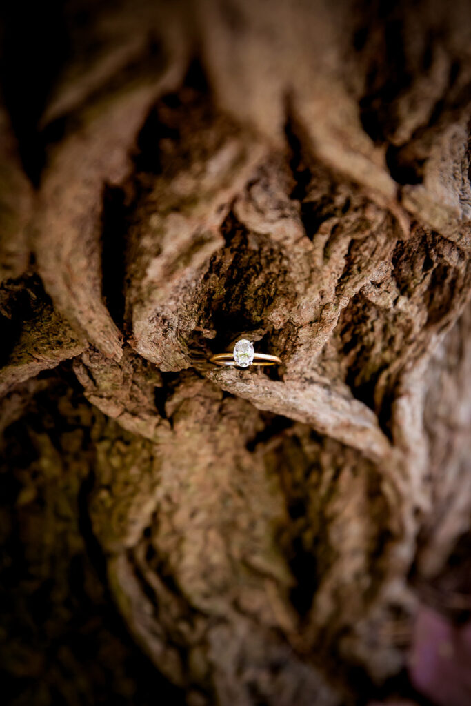 Mill Pond Engagement photos Dorchester Ontario