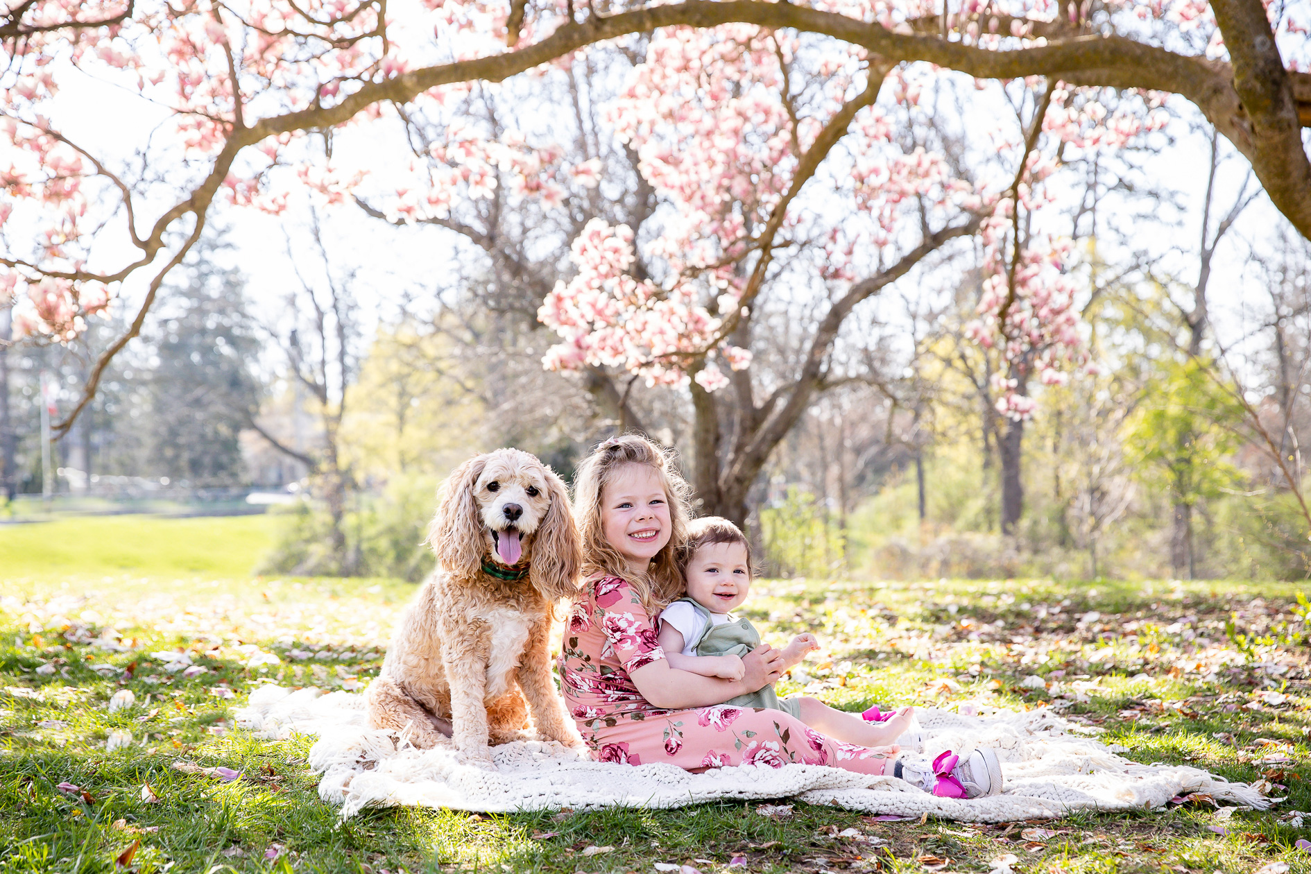 Best of 2022/2023 London Ontario Mini session