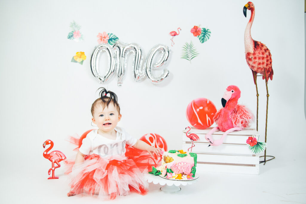 Best cake smash photographer London Ontario