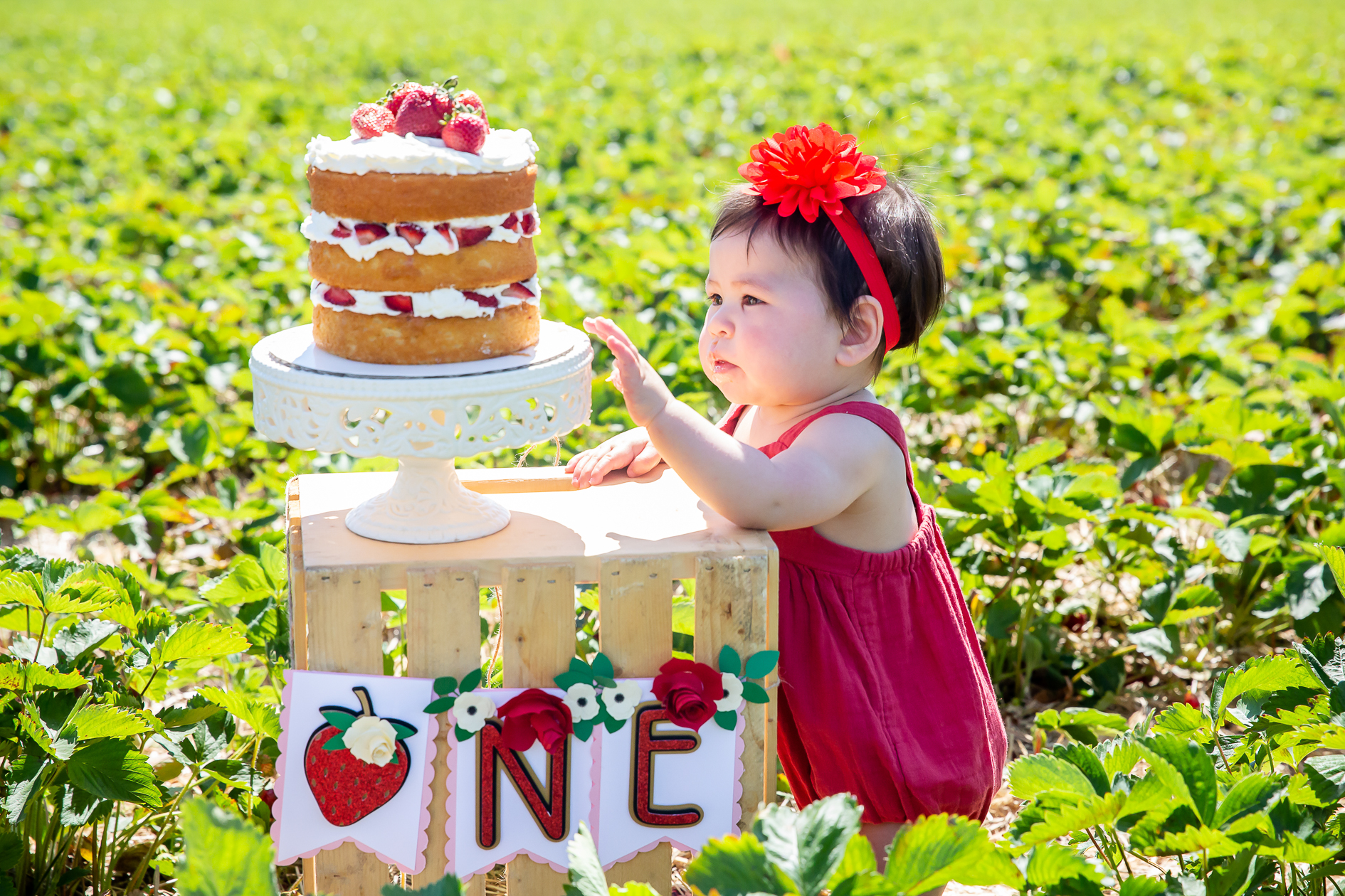 Best cake smash photographer London Ontario