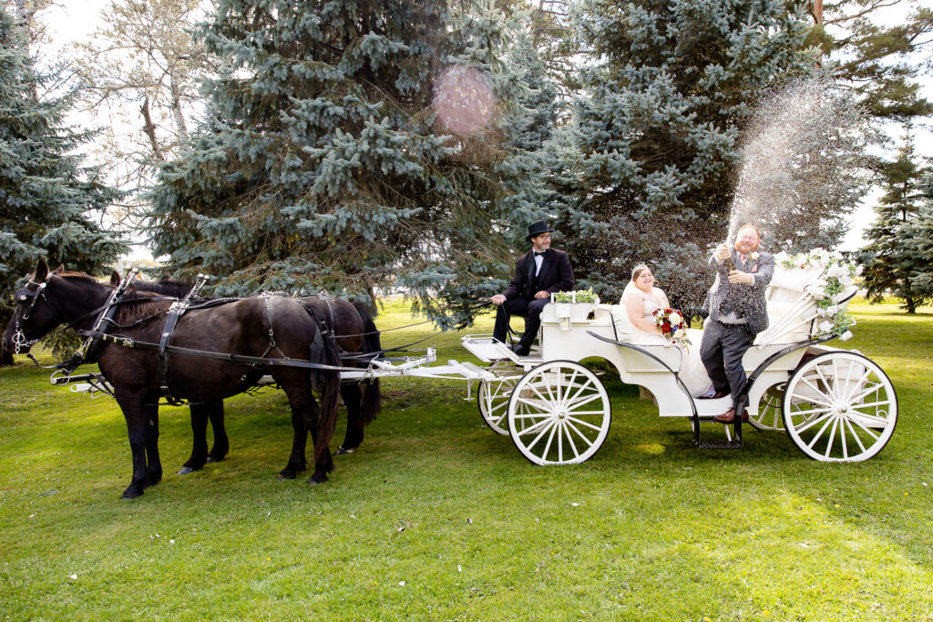 Fall wedding photography Elmhurst Inn