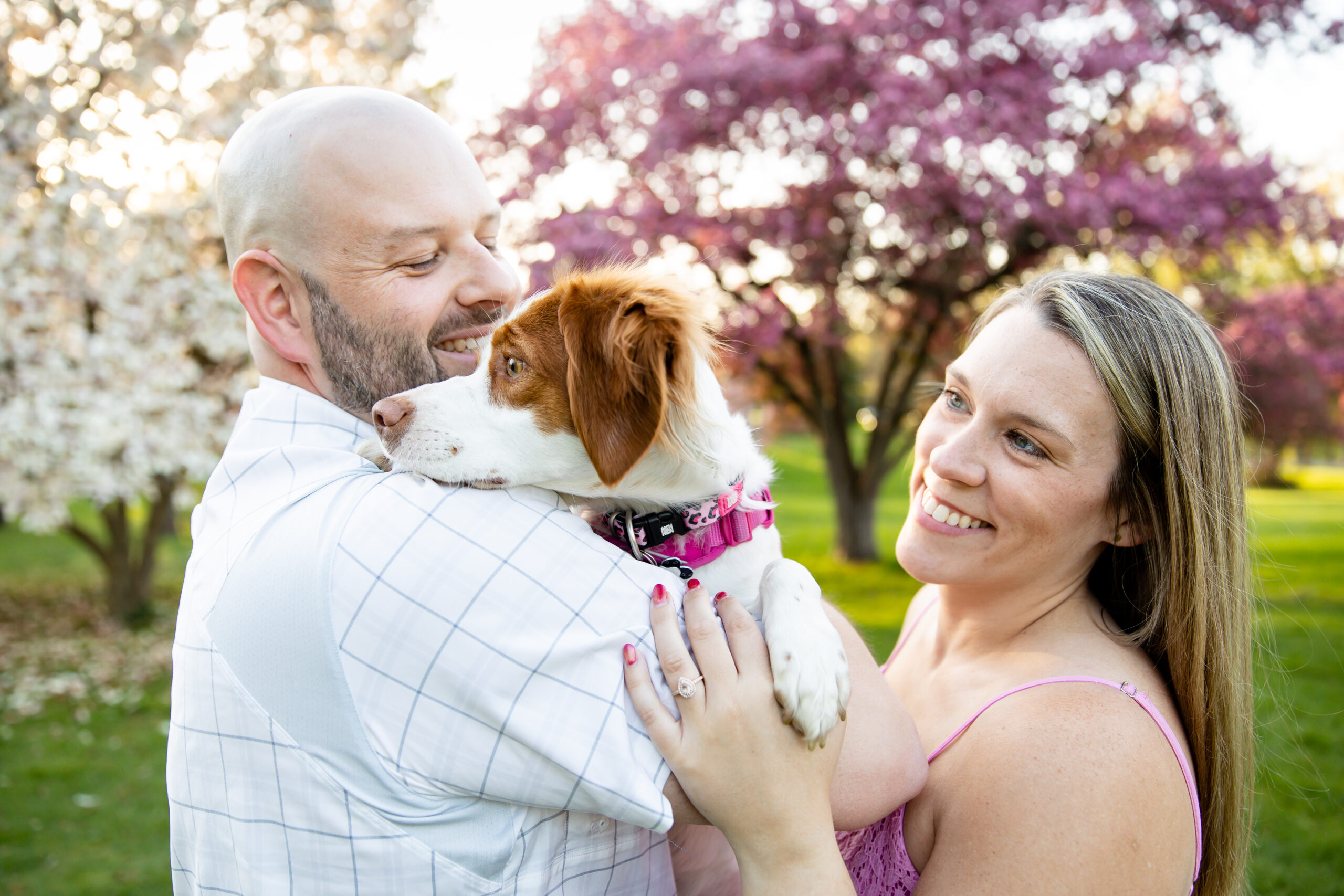 Magnolia trees London Ontario engagement