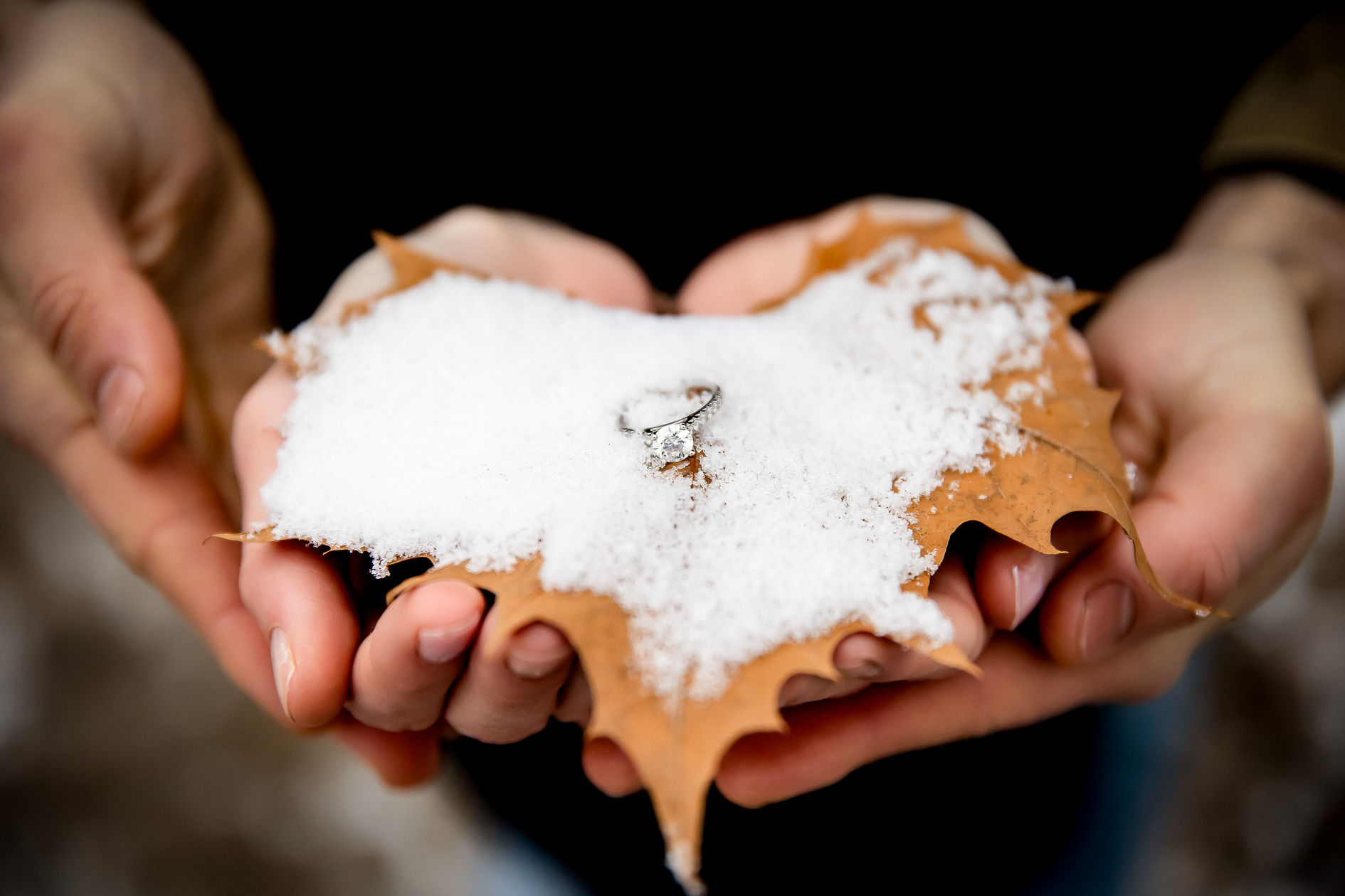 Fanshawe Conservation Winter engagement session