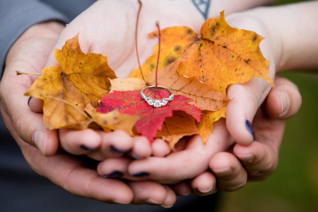 Wonderland Gardens Fall Engagement Photos