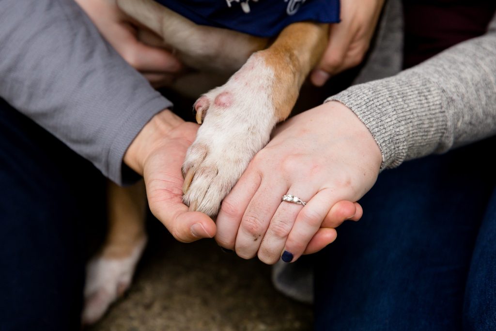 Wonderland Gardens Fall Engagement Photos