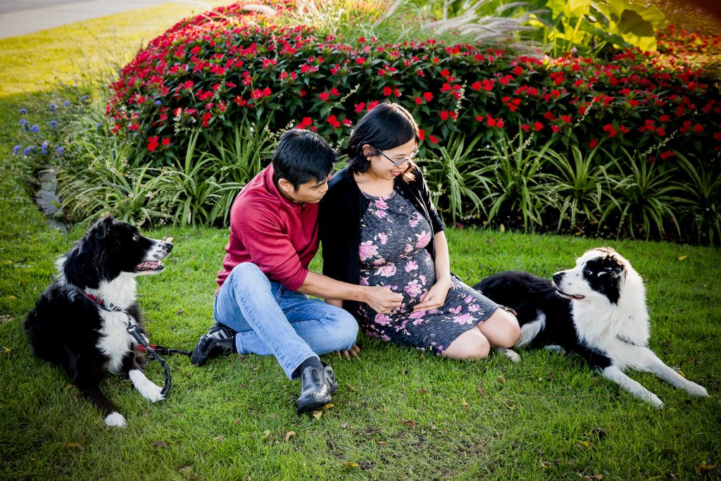 Pregnancy Photos London Ontario