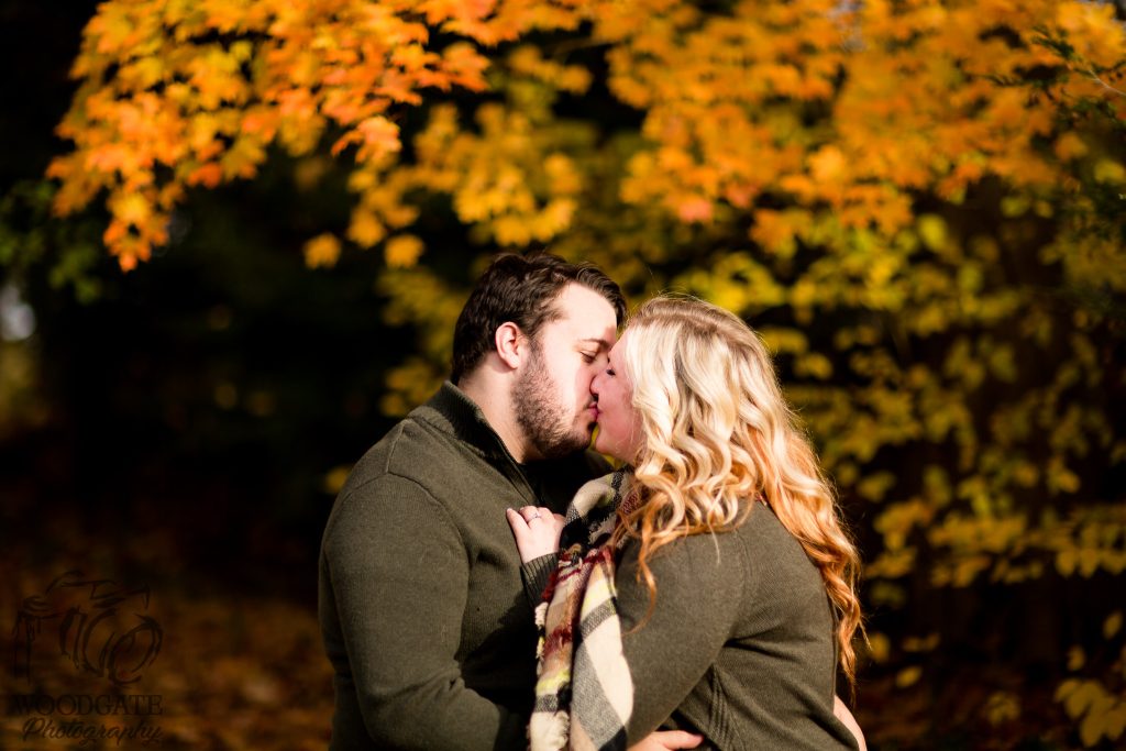 Fall Engagement Photos London Ontario, engagement photography london ontario, engagement photographer london ontario, pet photographer london ontario, dog photographer london ontario, photographer london ontario, outdoor photos london ontario, couple photograph london ontario