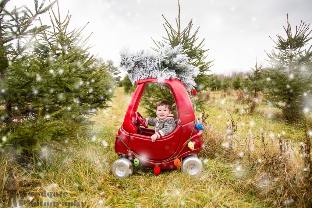 mini session photographer london ontario