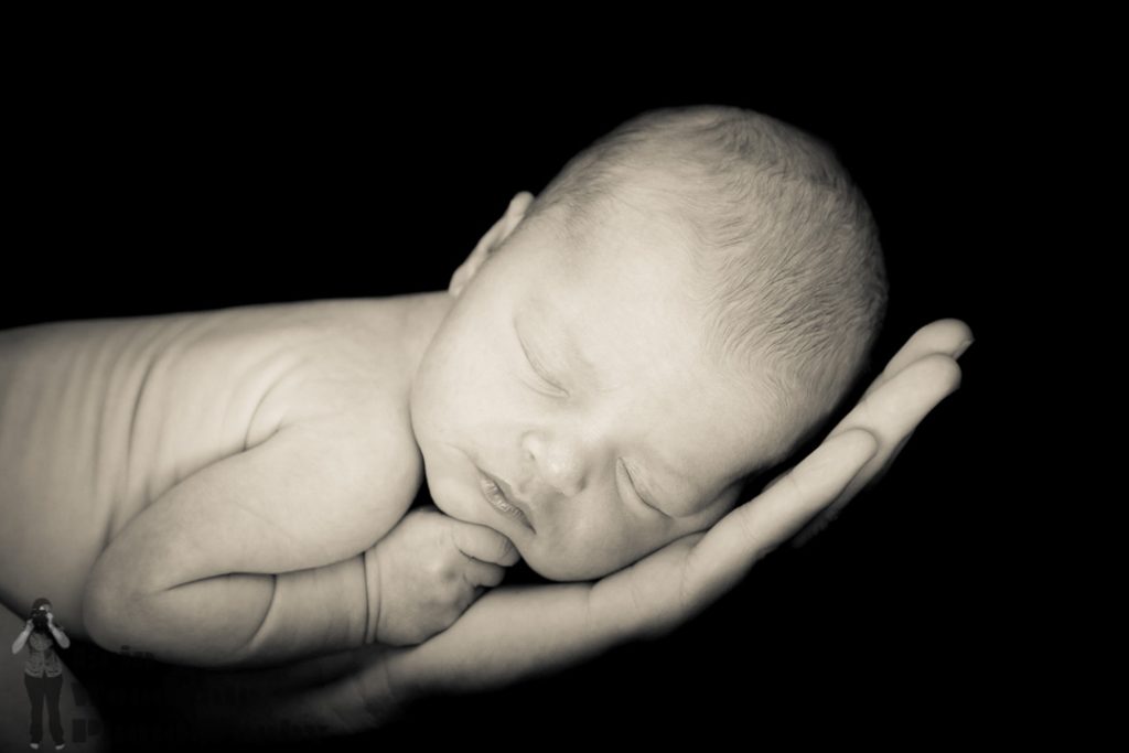 newborn photography london ontario