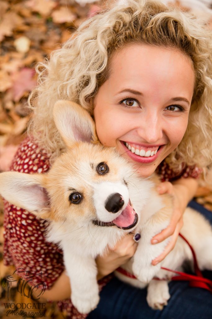 Dog photographer London Ontario