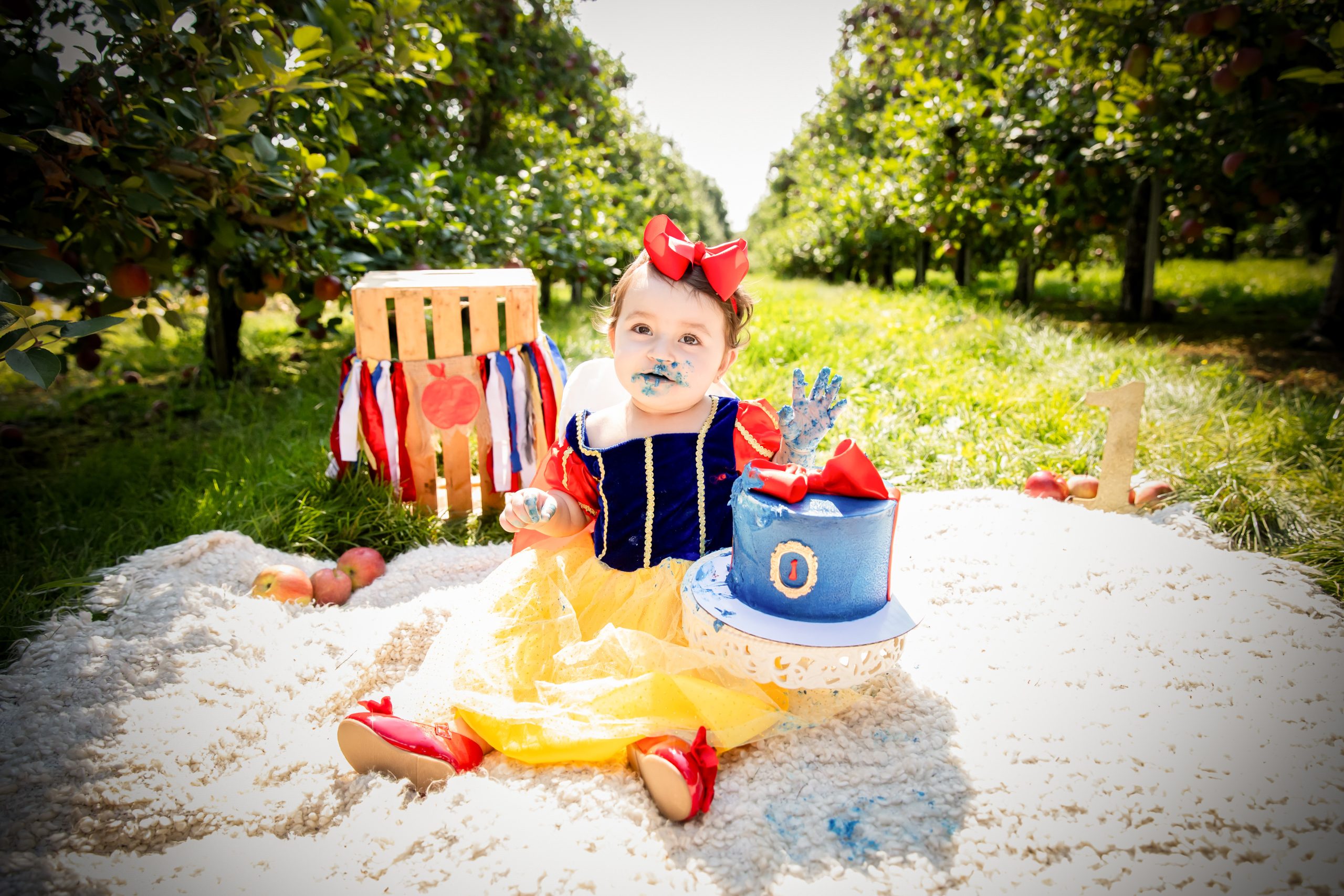 cake smash photography review london ontario