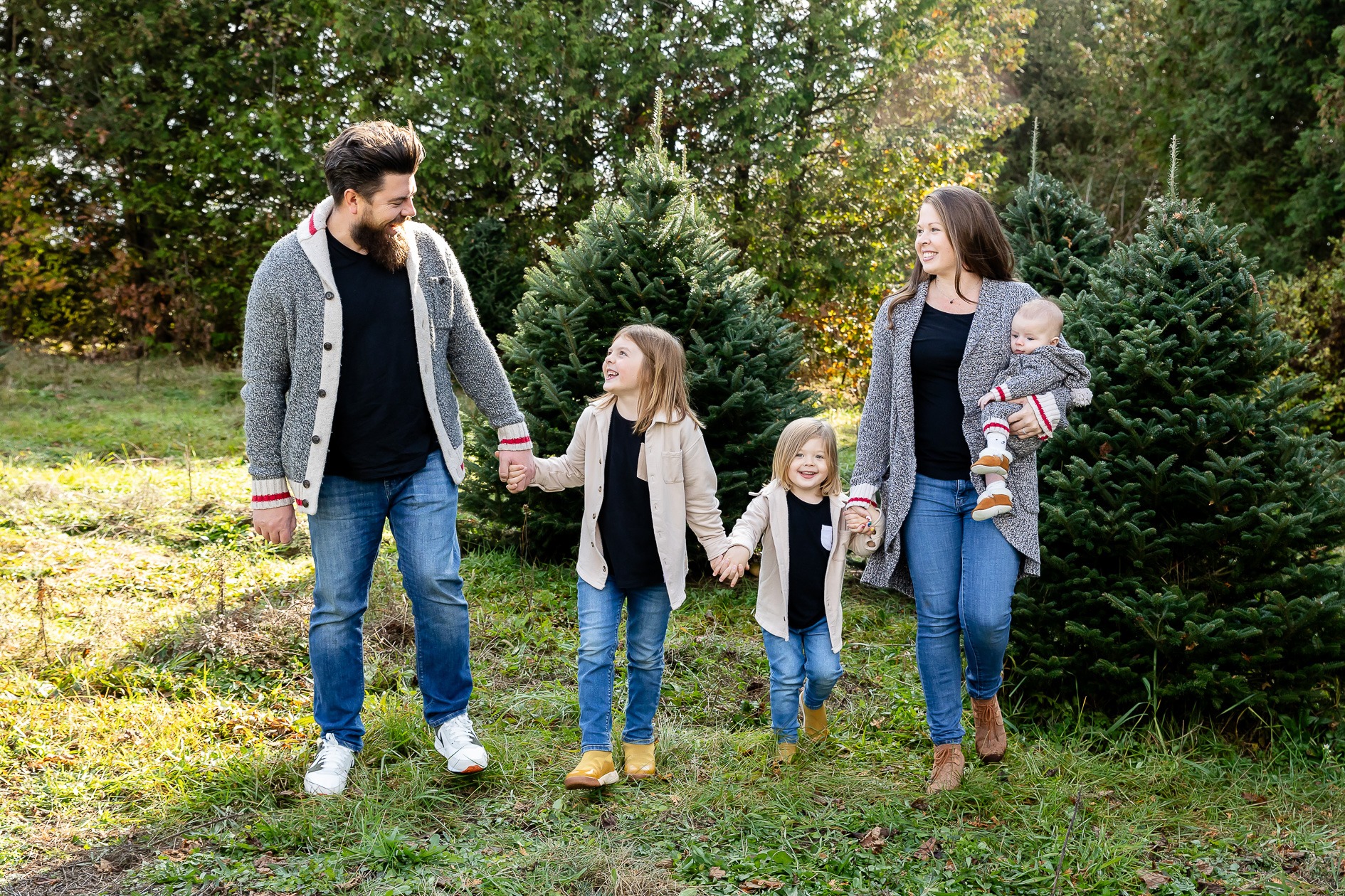 Mini Sessions photography London Ontario christmas tree farm