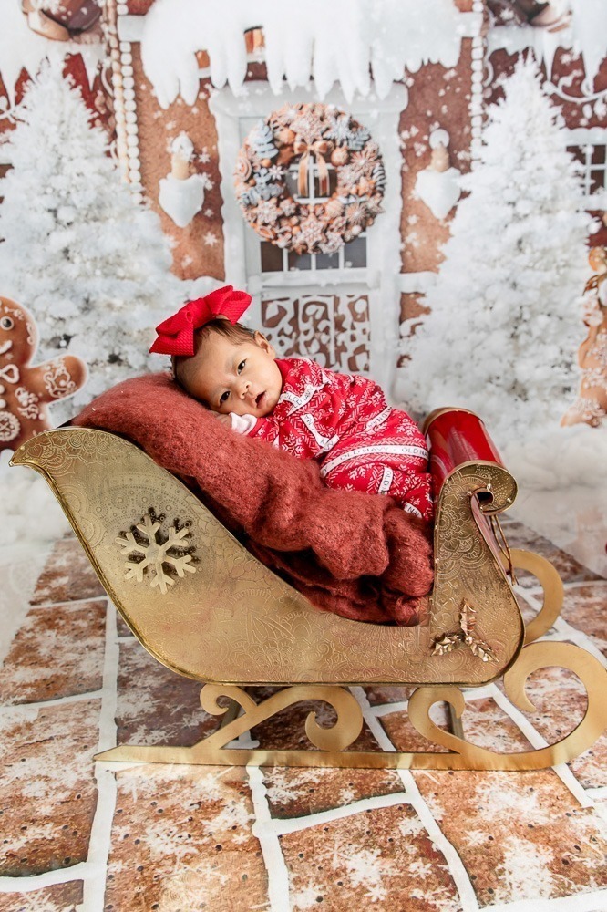 Christmas mini session photo London Ontario