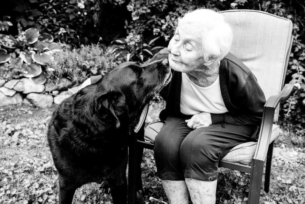 Pet Photos London Ontario