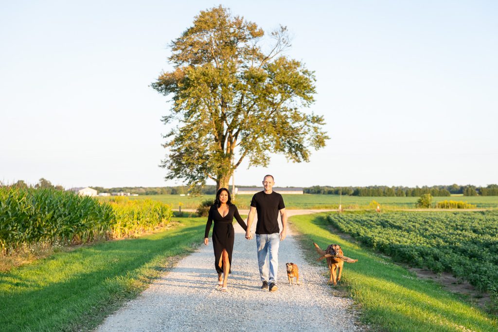 Pet Photos London Ontario