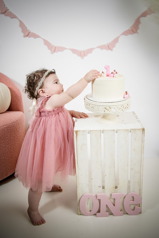 Cake Smash London Ontario photography