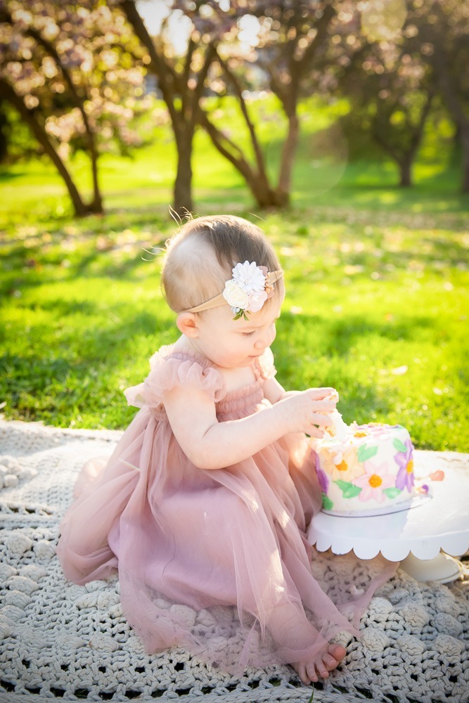 Cake Smash London Ontario photography