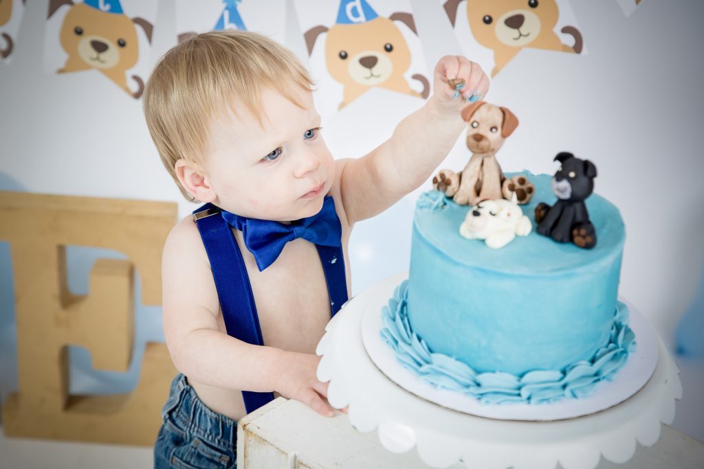 Cake Smash London Ontario photography