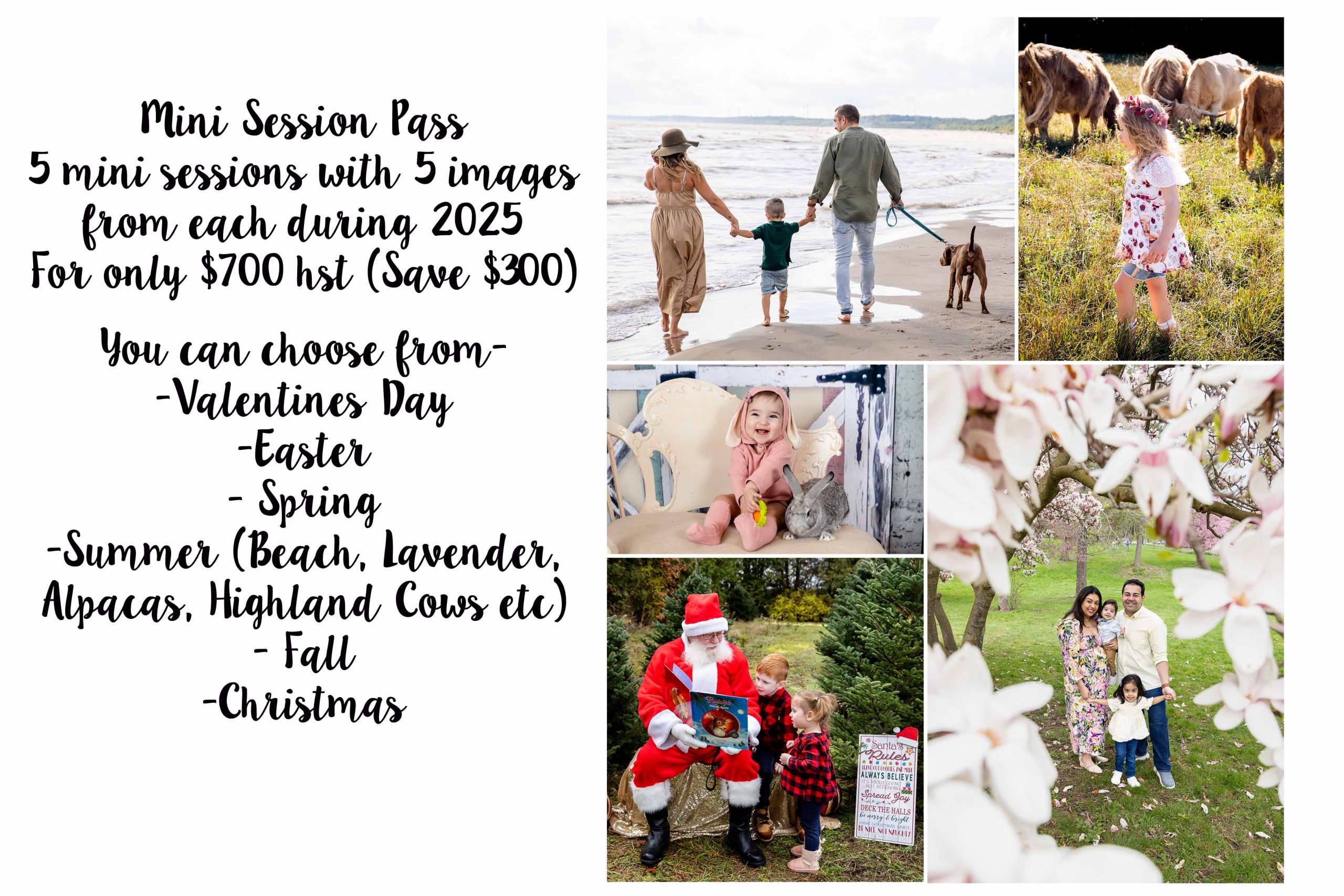 mini session photo london ontario