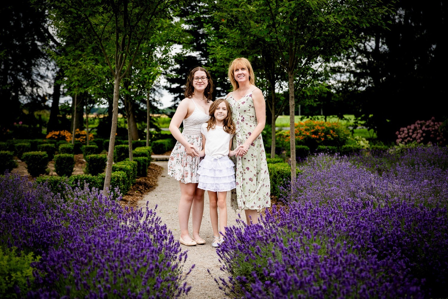 Mini Sessions photography London Ontario lavender