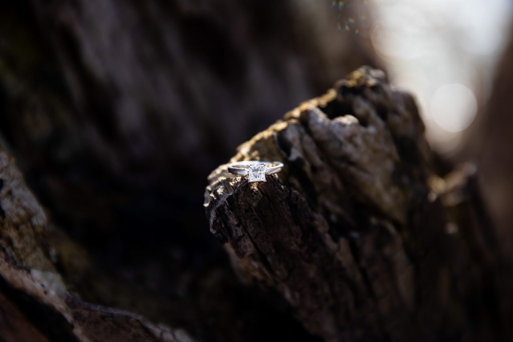 Winter engagement session at Gibbons Park