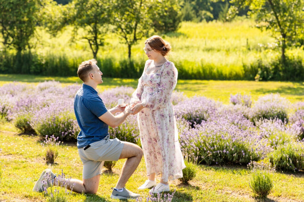 Engagement photo session London Ontario Lavender farm proposal
