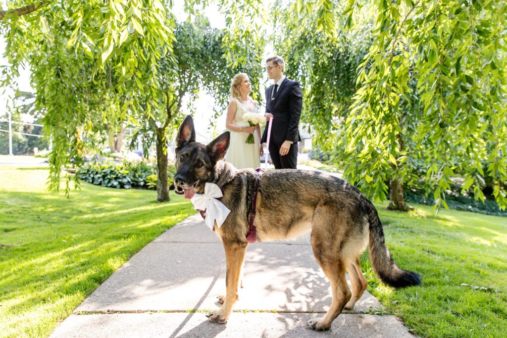 dog in foreground and bride and groom in background wedding photography london ontario