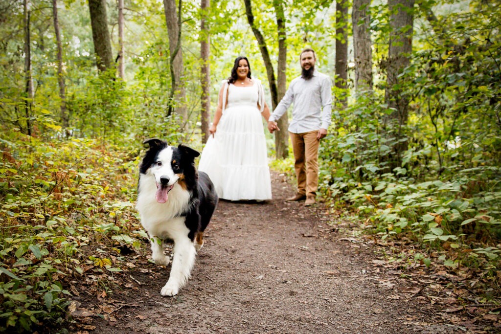 Dog photos London Ontario