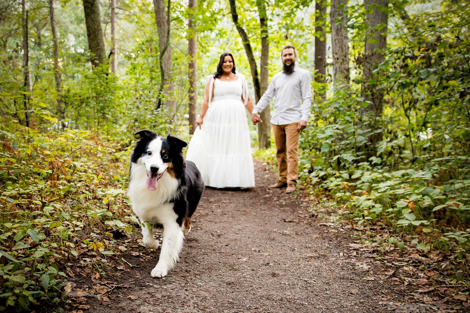 Dog photos London Ontario
