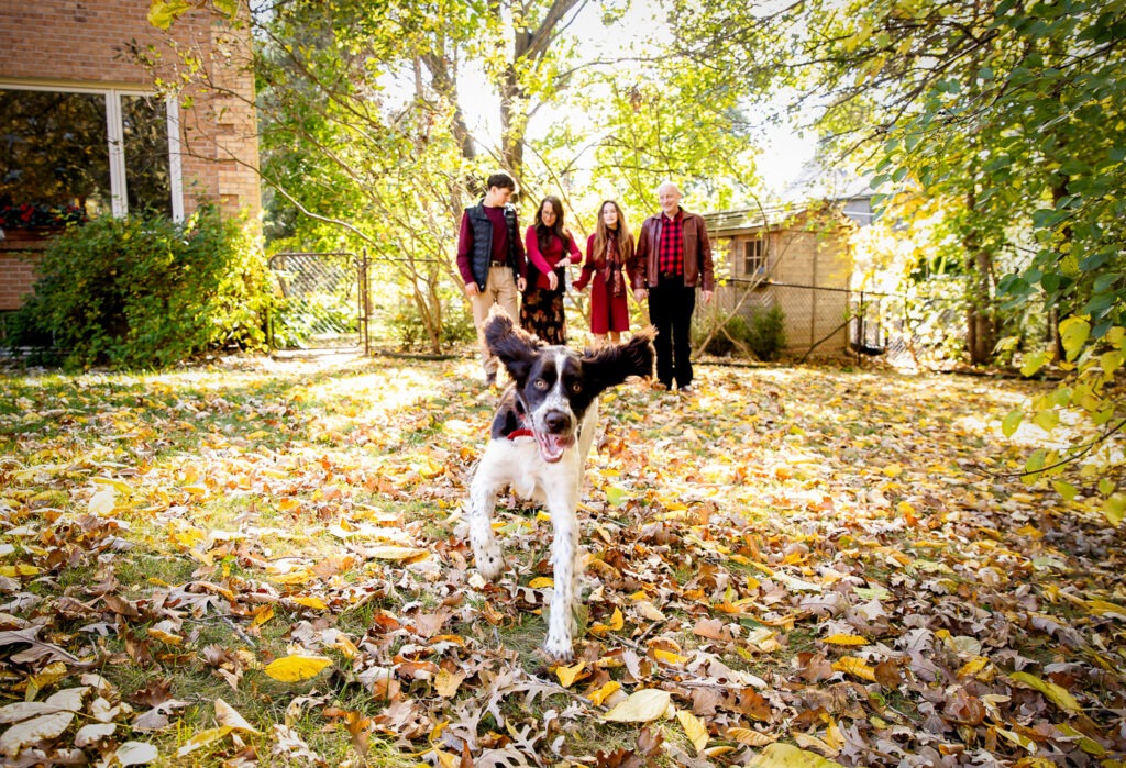 Dog photos London Ontario